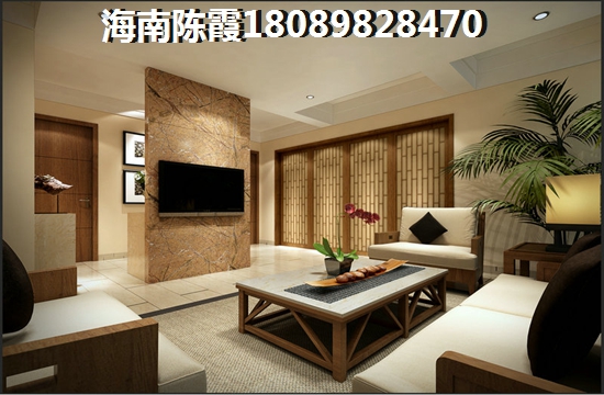 武汉楼盘有没有touzi空间