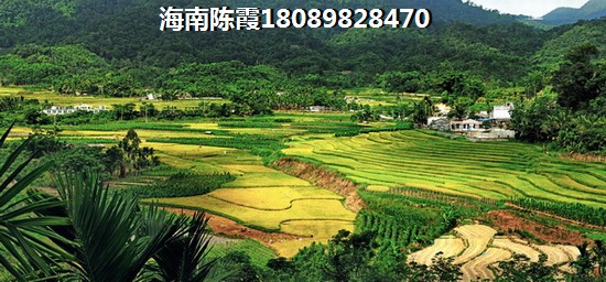 万科华生公园大道楼盘特点有哪些