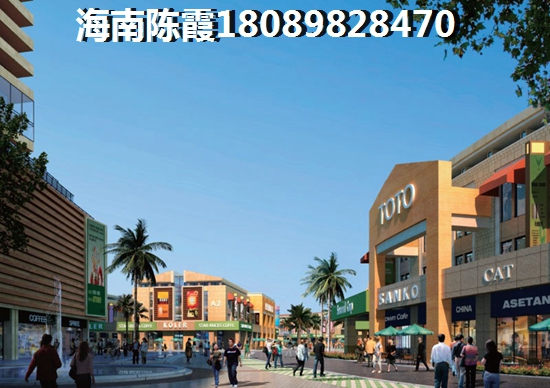 东湖楚天府 一居  户型图