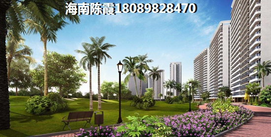 海尔地产国际广场 一居  户型图