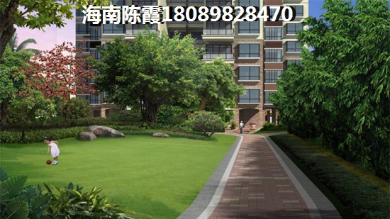 鹏湖湾交通图